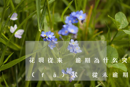 花唄從來沒逾期為什么突然就不能用了，突發(fā)狀況：從未逾期的花唄為何突然無法使用？